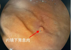 from clipboard from clipboard